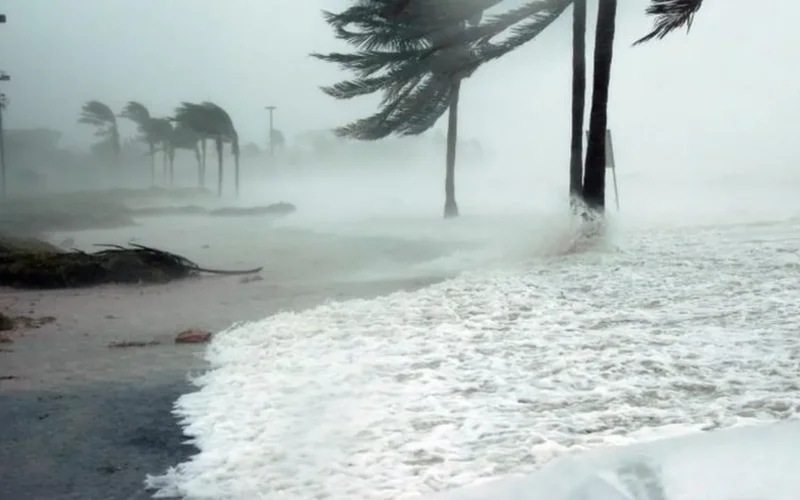 إعلان جديد.. الأرصاد تحذر من برد قارس وشبورة كثيفة في الأيام المقبلة